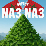 NA3 NA3