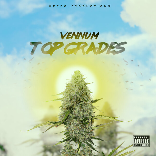 Top Grades