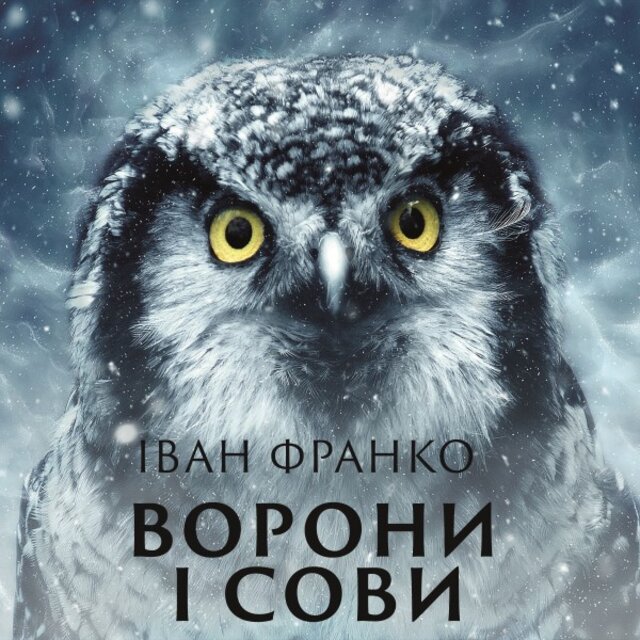 Ворони і сови
