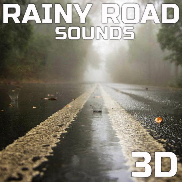 Rainy Road Sounds 3D