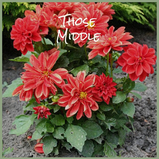 Those Middle