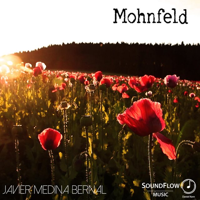 Mohnfeld