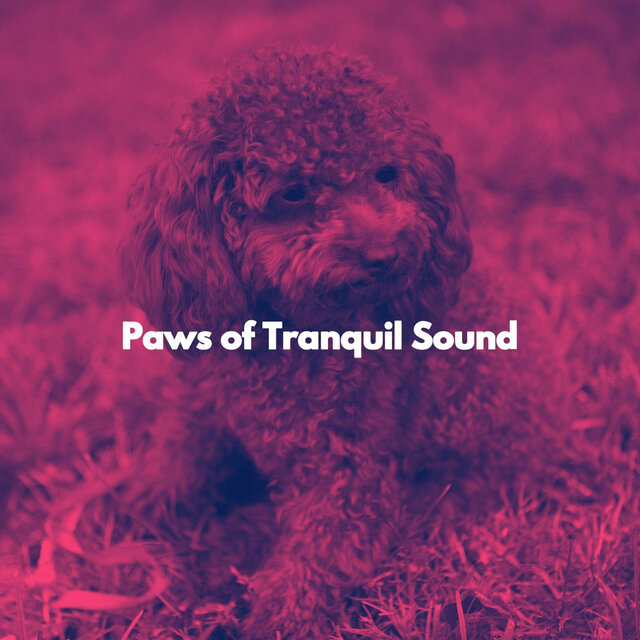 Paws of Tranquil Sound
