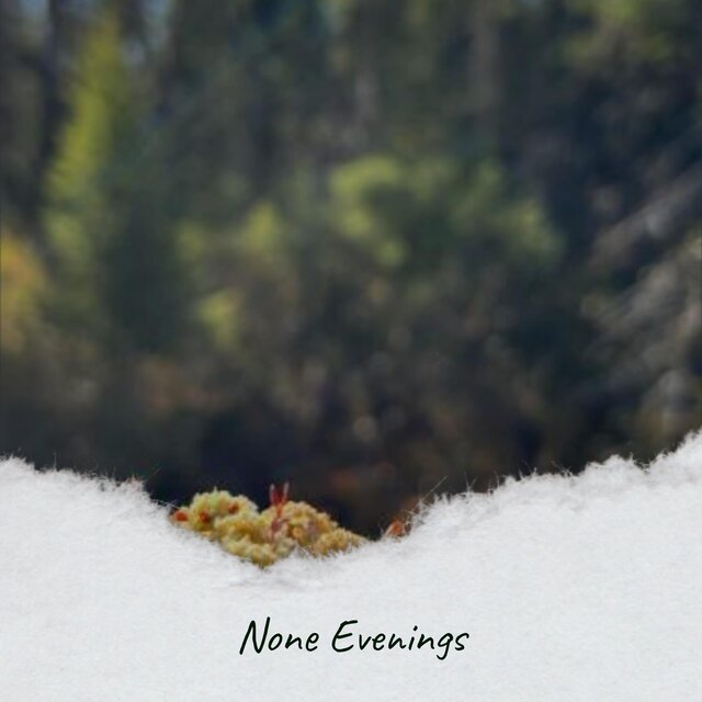 None Evenings