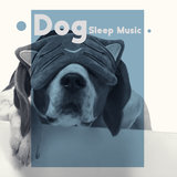 Sleep Therapy with New Age Music