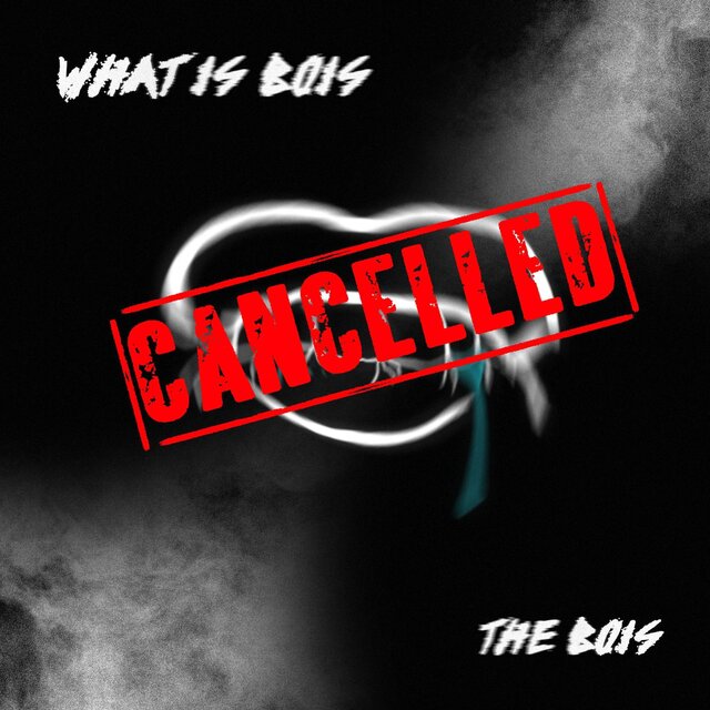 What is Bois?