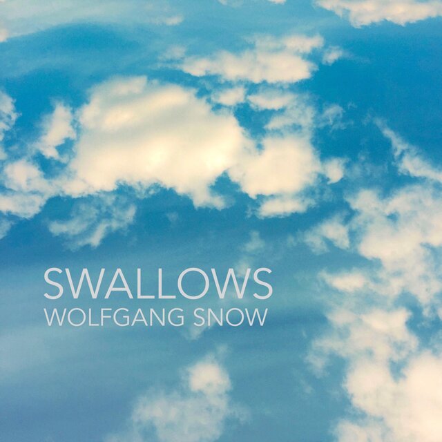 Swallows