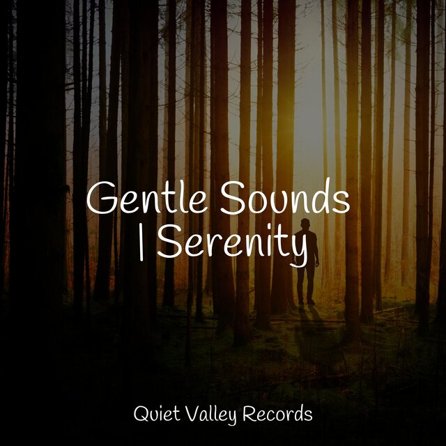 Gentle Sounds | Serenity