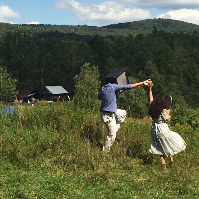 Electric Meadow