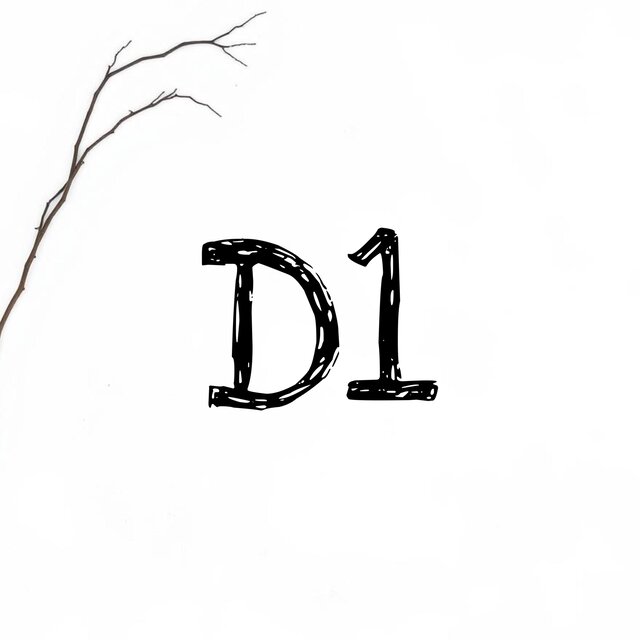 D1 (Prod.Seyah)