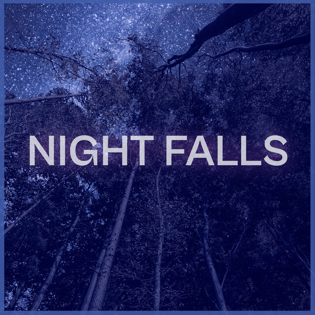 Night Falls