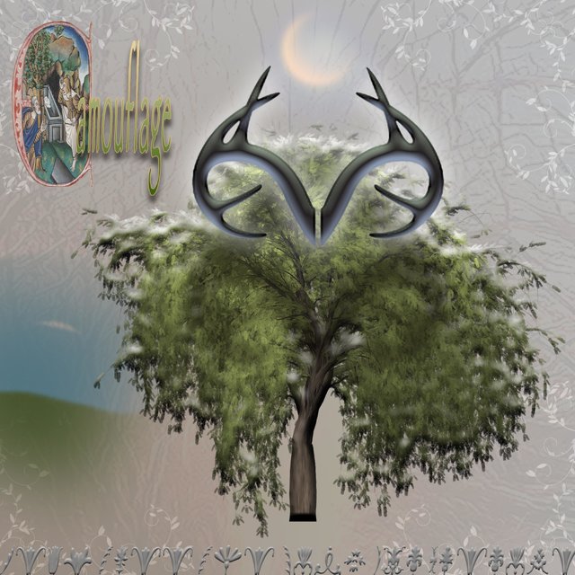Camouflage (feat. hm.wav)