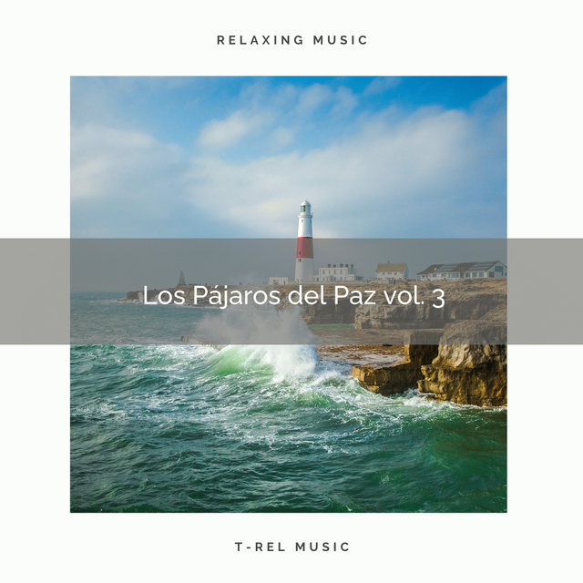 1 Los Pájaros del Paz vol. 3