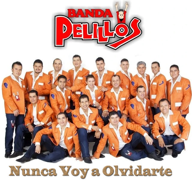 Nunca Voy a Olvidarte