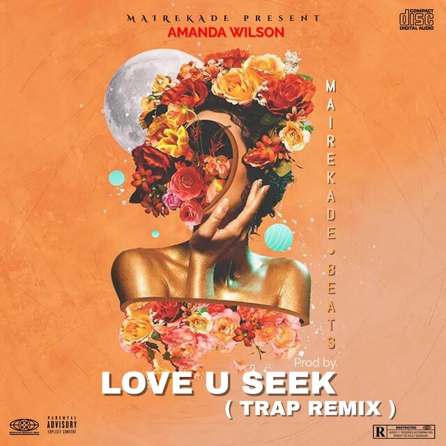 Love u Seek (feat. Amanda Wilson) [Trap Remix]