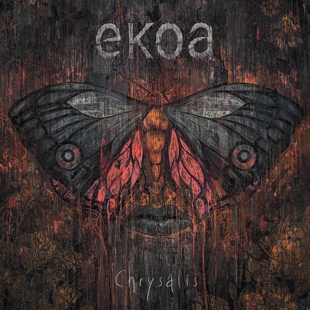 Chrysalis