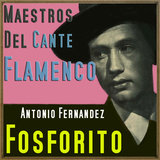 Celos Hasta del Aire / Porque Pudiera Tenerte / En el Limonero Tengo (Fandango de Lucena, Zángano y Verdial)