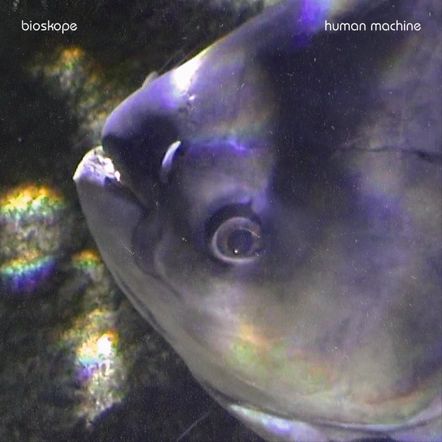 Human Machine