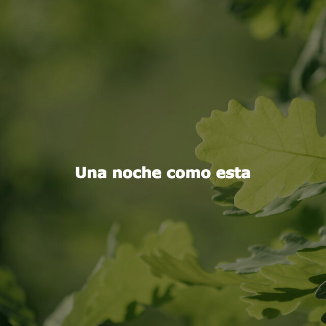 Una noche como esta