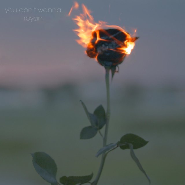 you don't wanna