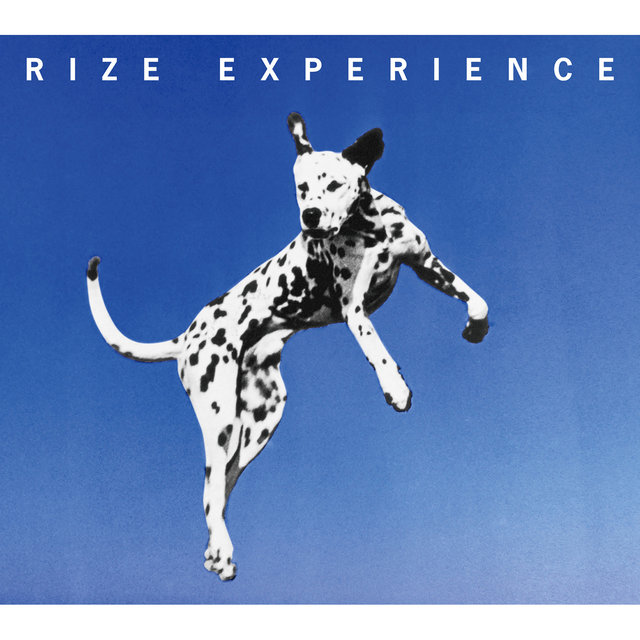 Experience