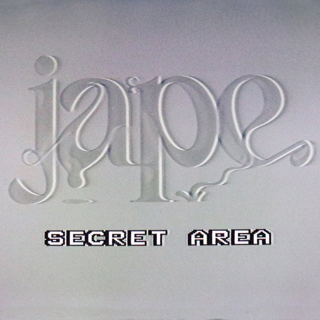 SECRET AREA