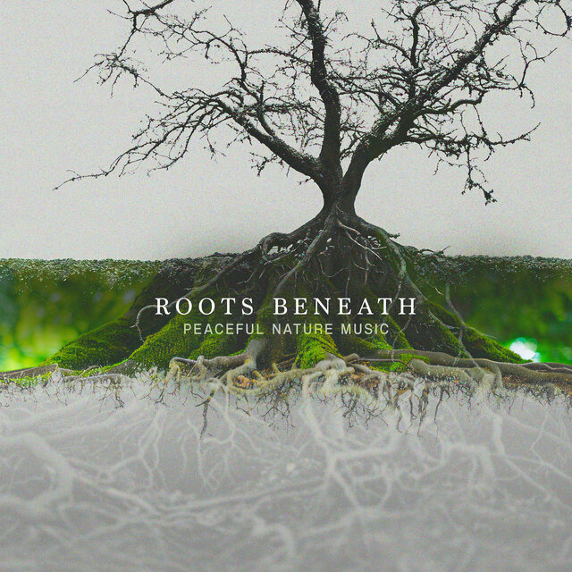 Roots Beneath