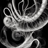 Stereocilia