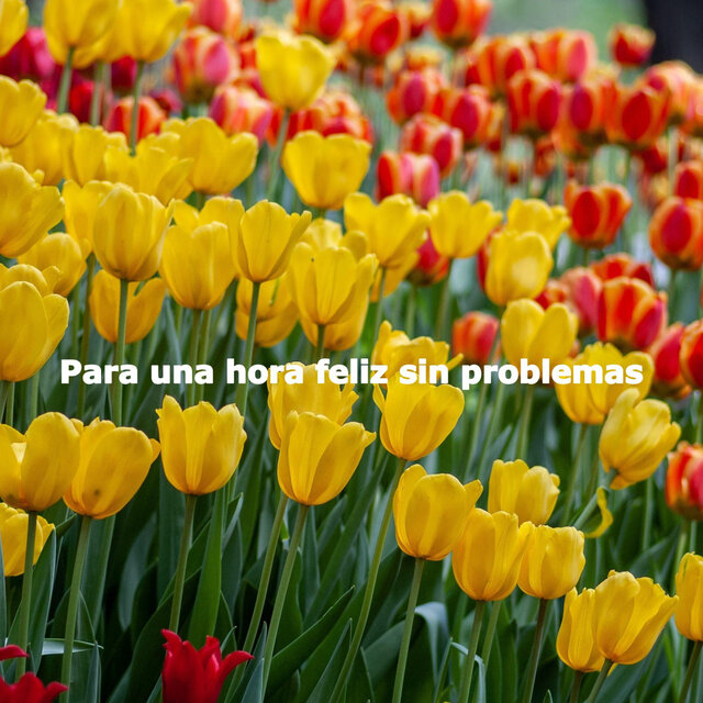 Para una hora feliz sin problemas