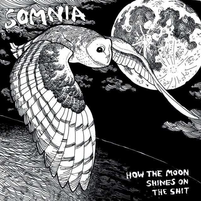 How the Moon Shines on the Shit