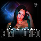 Como Lo Hizo
