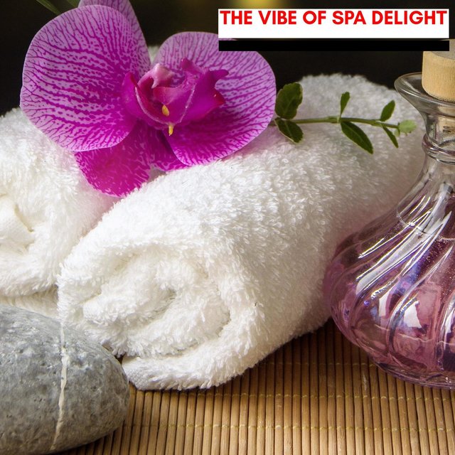 The Vibe Of Spa Delight