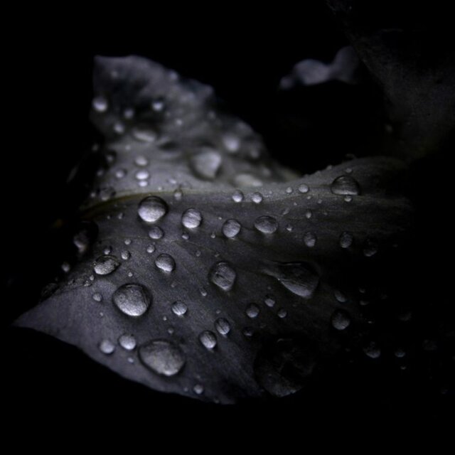 The Storm