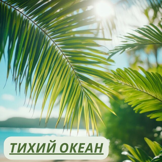 Тихий океан