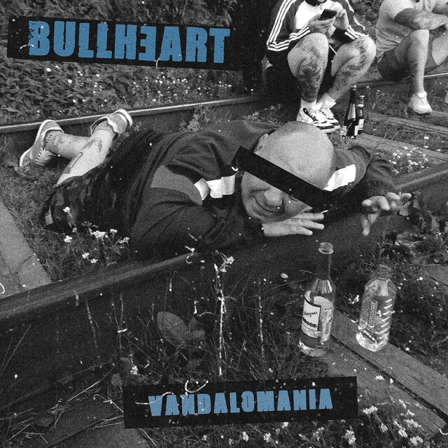 Vandalomania
