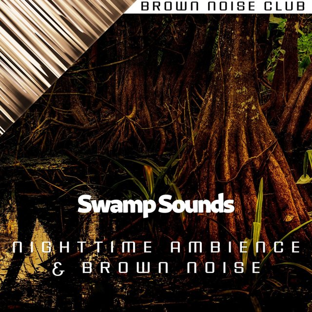 Swamp Sounds - Nighttime Ambience & Brown Noise, Loopable