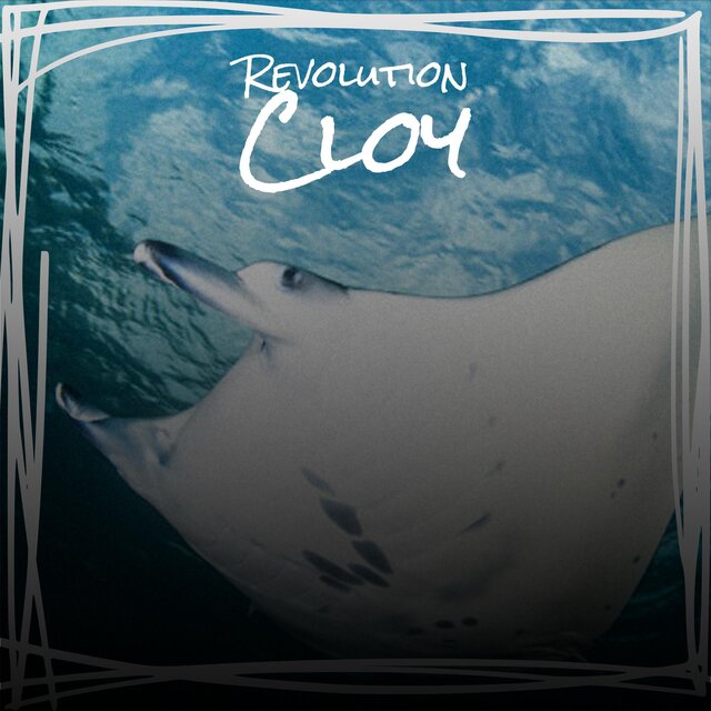 Revolution Cloy