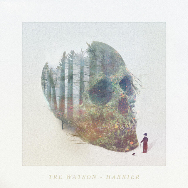 Harrier