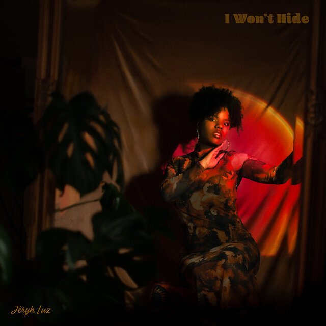 I Won't Hide