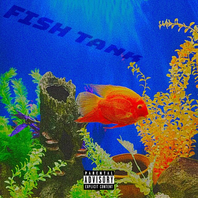 Fish Tank