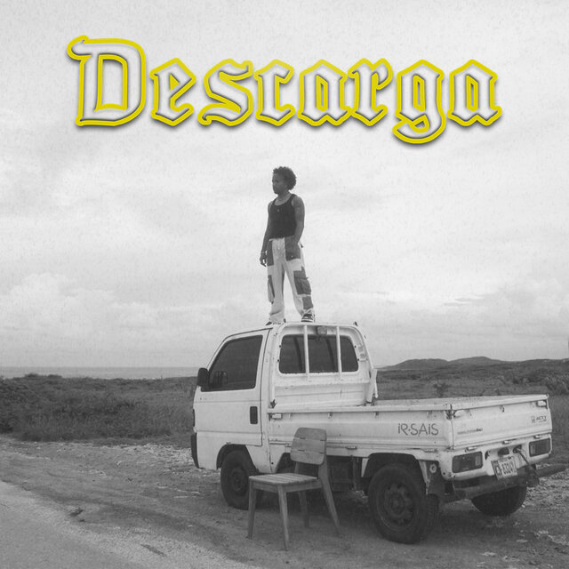 Descarga