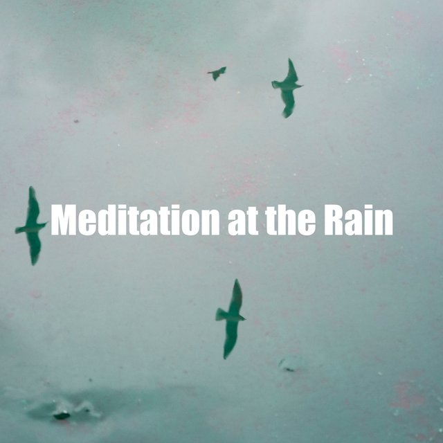 Meditation at the Rain