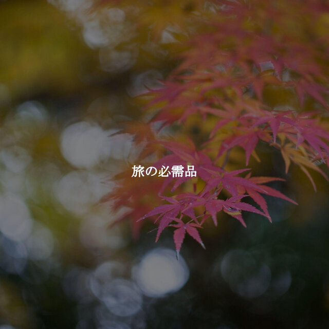 旅の必需品