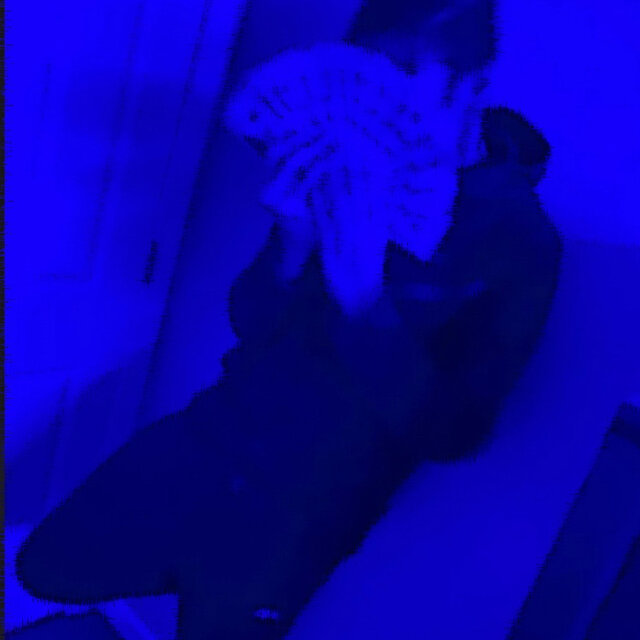 fallininluv