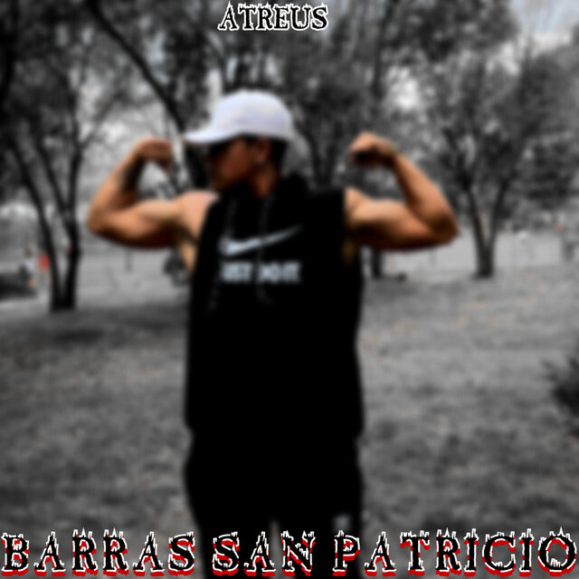 Barras San Patricio
