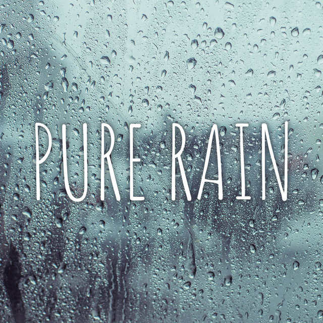 Pure Rain: Meditation with Nature, Healing Nature Sounds, Relaxation Zone, Soothing Rain Noises