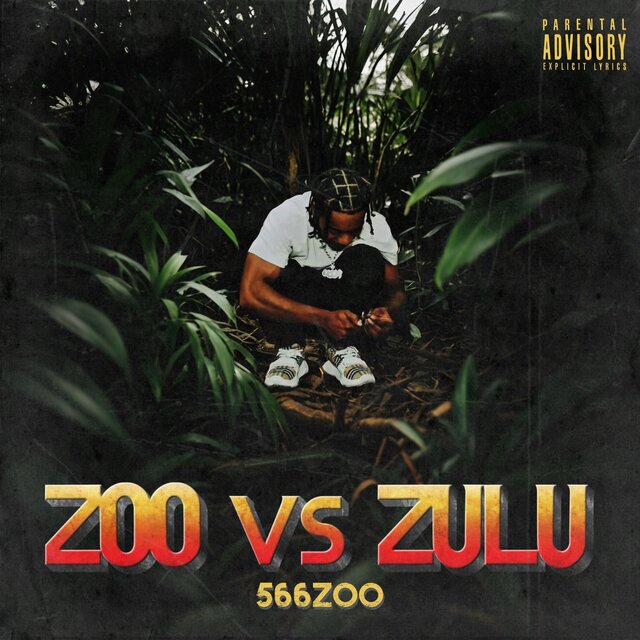Zoo Vs Zulu