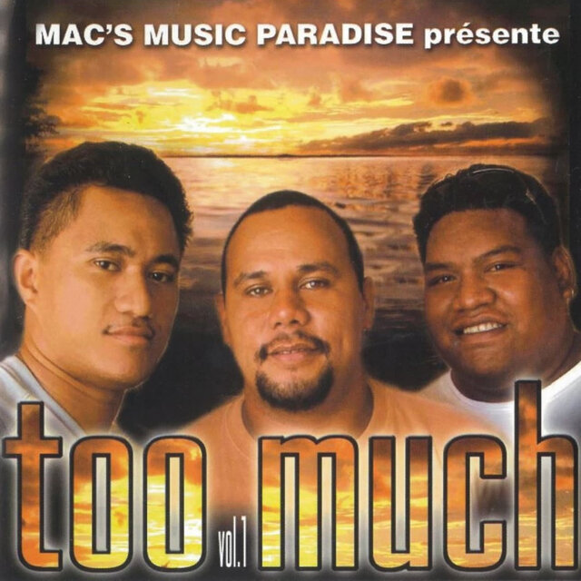 Too Much Vol. 1