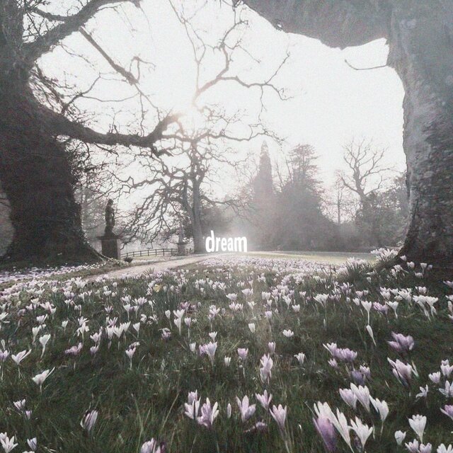 dream