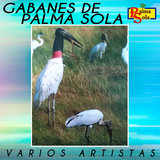 El Gabán Masón